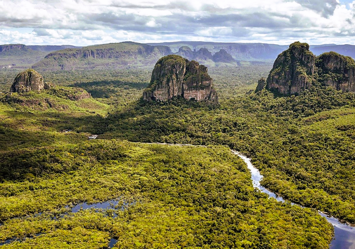 Flugzeugabsturz  - 4 Kinder überleben 17 Tage alleine im Regenwald!