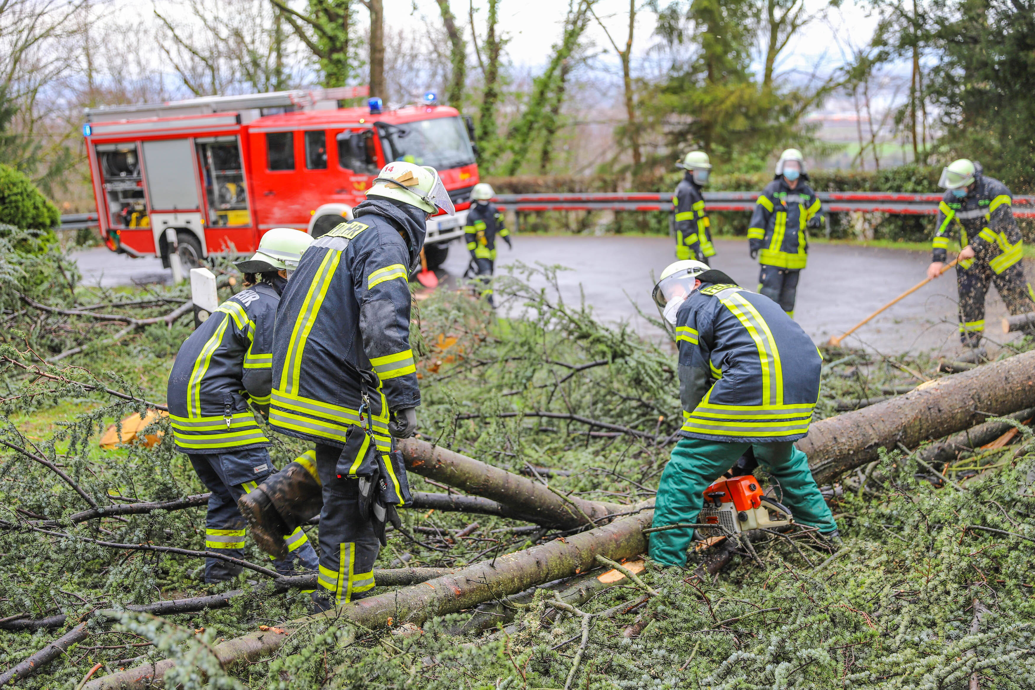 Schwere Unwetter in Teilen Deutschlands - Baum stürzt auf Familie, Kinder schweben in Lebensgefahr!